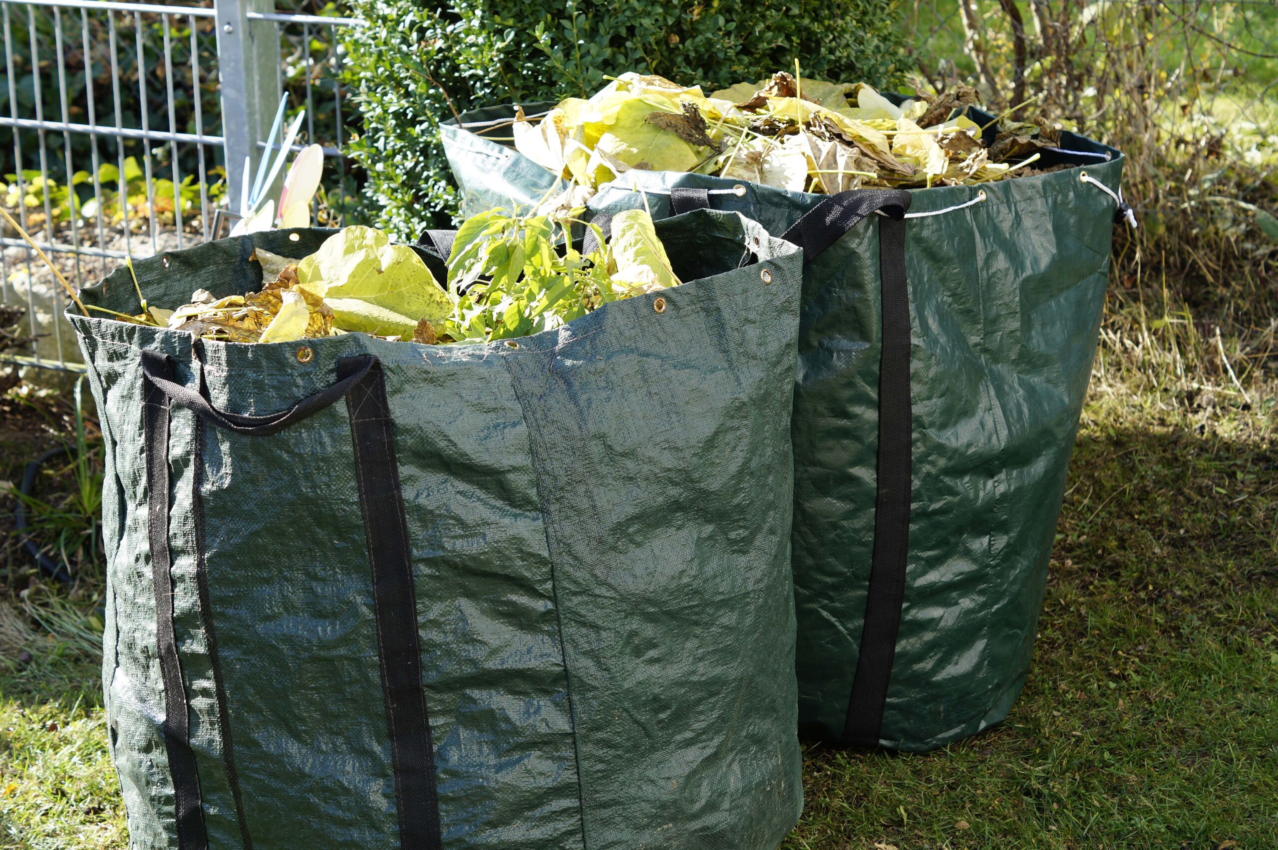 Gartenabfall garden-waste-1047259small